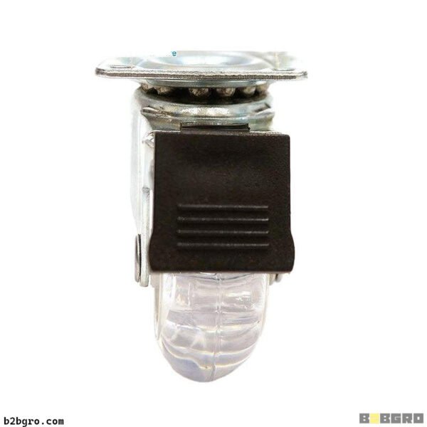 رويضة جاجية (فران) 50MM
