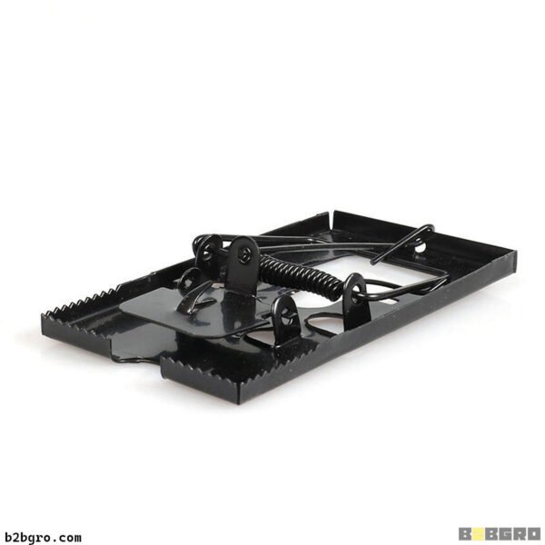 مصدة كحلة صغيرة