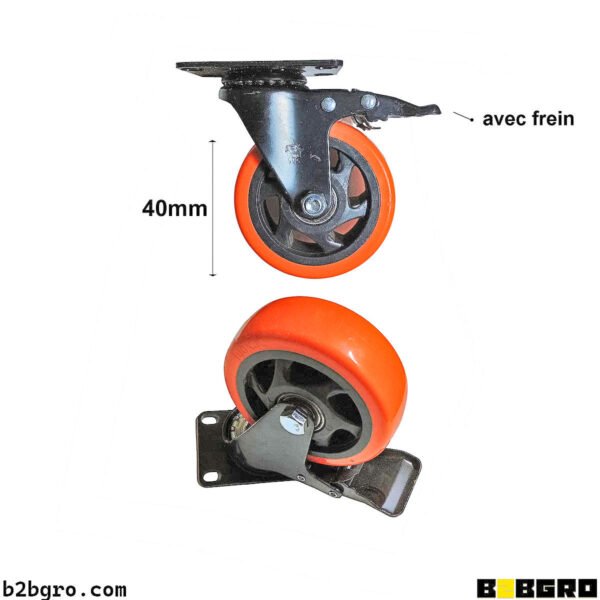 رويضة لمونية (فران) 40mm
