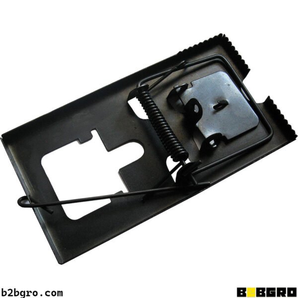 مصيدة فار كحلة كبيرة