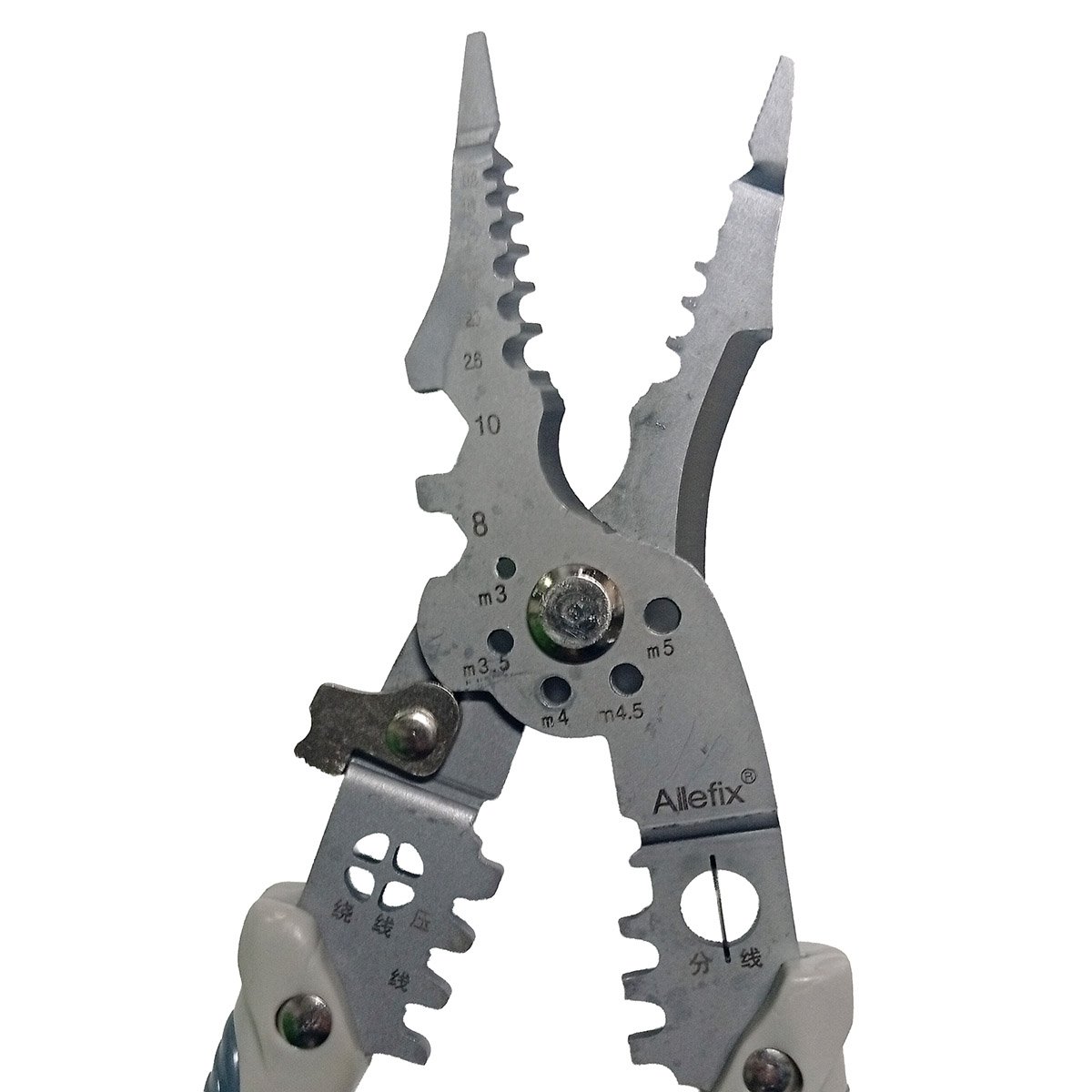 بانس دنيدي رقم 8" - Image 2