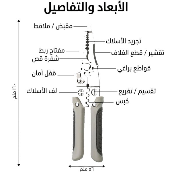 بانس دنيدي رقم 8"